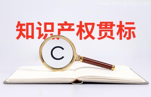 小微初创企业怎么申请知识产权贯标？