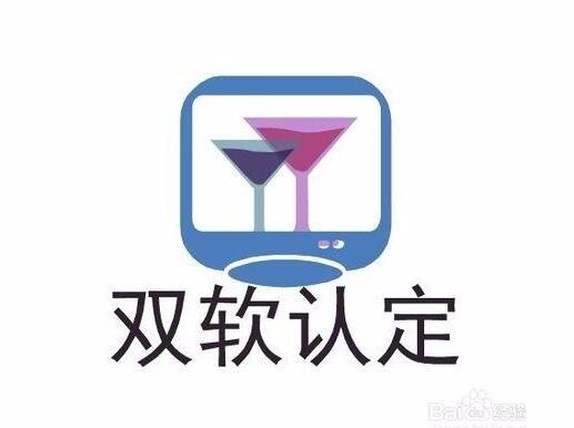 双软企业认定时间