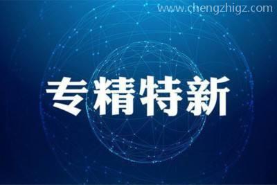 广东省关于组织开展2020年专精特新中小企业遴选工作的通知