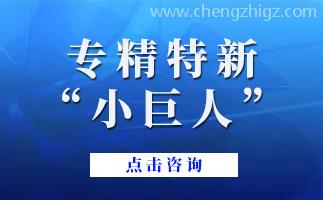 ​广东省专精特新中小企业政策